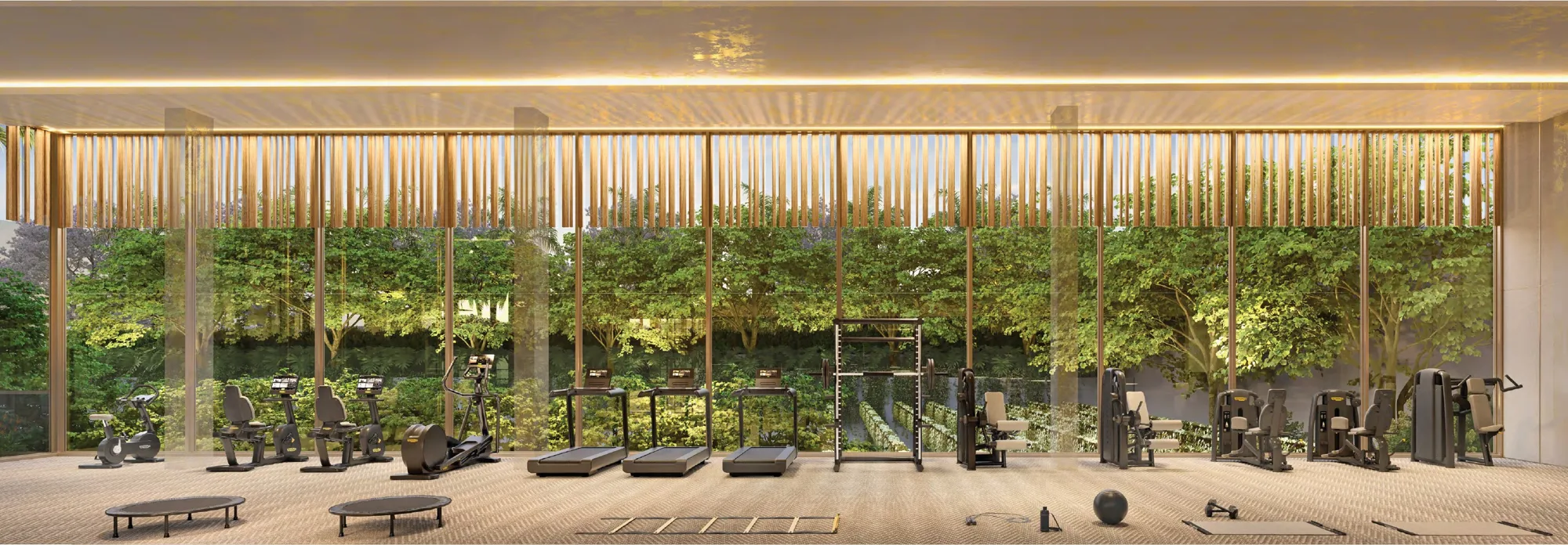 Perspectiva ilustrada: Fitness, torre Venezia